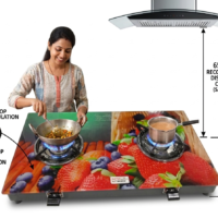 2 burner digital print gas stove